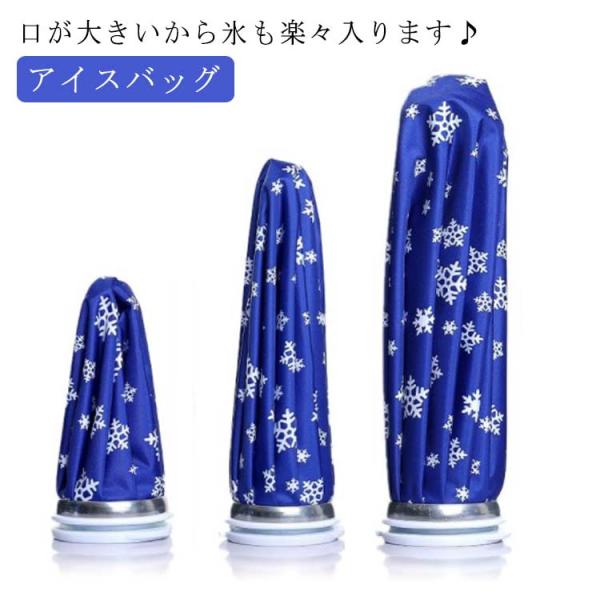 アイスバッグ 製氷ケース付き S M L 2点セット 氷嚢 氷のう アイシング 足首 肩 首 腰 膝 子供 大人 広口 小型 大型 サッカー サポータ