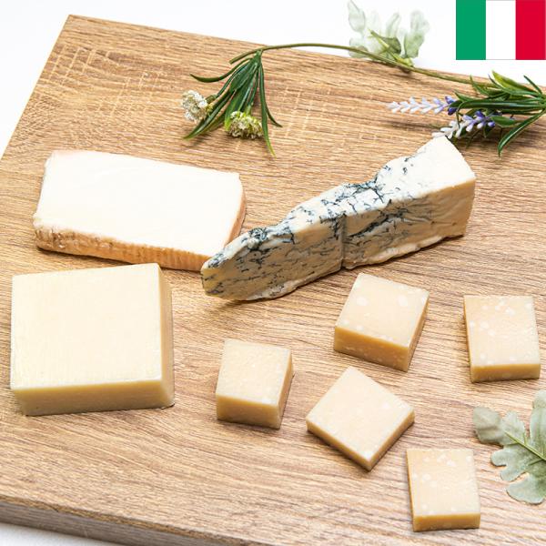 イタリア製チーズ4種類セット 合計370gイタリアみやげ イタリア土産 別送冷蔵特有の香りは控えめでマイルドな味わいのタレッジョ、長期熟成させた深みのあるパルミジャーノ・レッジャーノなどの4種を、ワインなどとお楽しみください。内容量：ペコリ...