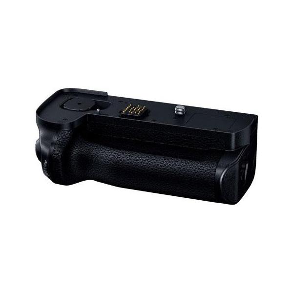 pi\jbN(Panasonic) DMW-BGS1 LUMIX SV[Yp obe[Obv