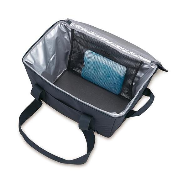 eccurrent_4562344396950_2_d_20240323010616