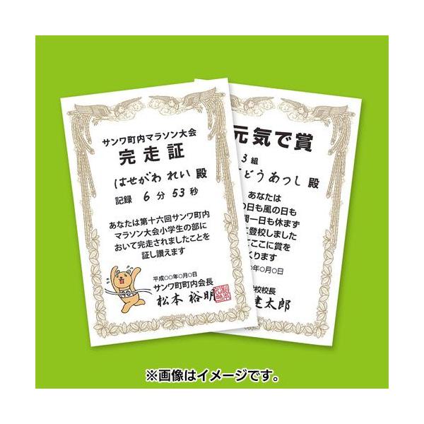 TTvC JP-SHHKTN CNWFbg܏p ͂ c 20