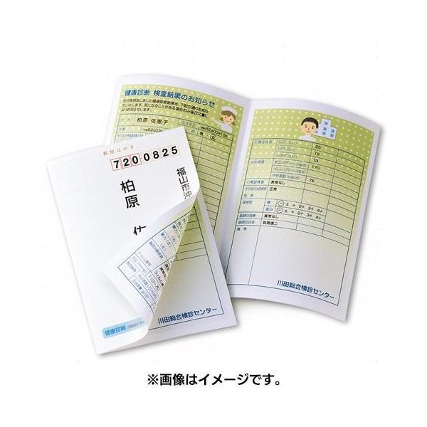 TTvC JP-HKSEC13N CNWFbgpV[Nbg͂ 20Zbg