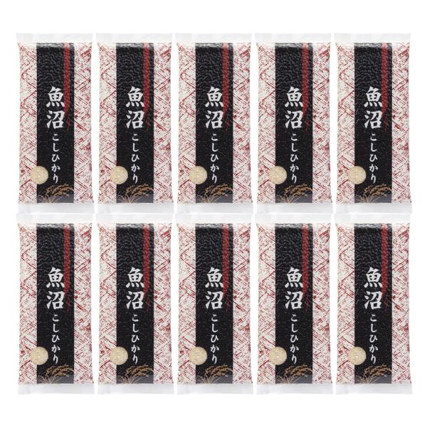 米 魚沼産コシヒカリ 3kg (300g x10袋) 令和7年産 特A米  真空パック お米
