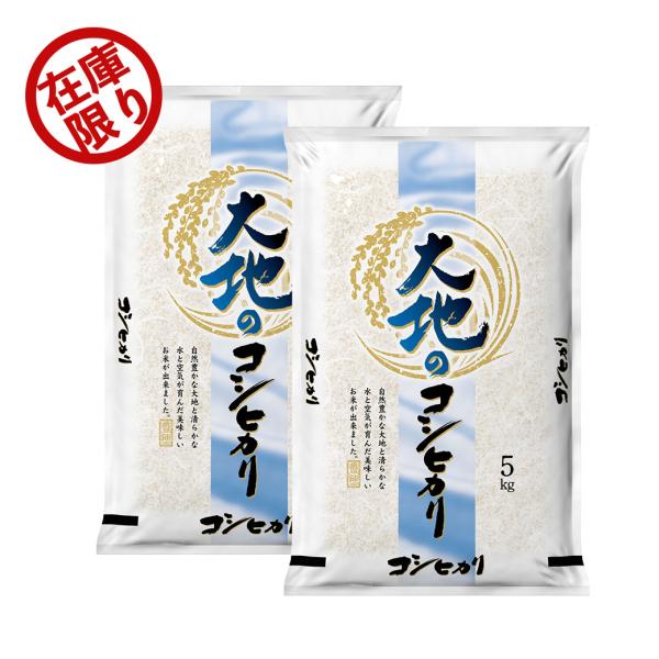 白米 10kg コシヒカリ コシヒカリ 米 10kg 山形産コシヒカリ お米 10キロ 令和6年産