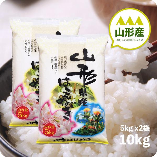 はえぬき 米 10kg 山形産はえぬき お米 10キロ 令和6年産 精米 はえぬき 米 10kg 山形産はえぬき お米 10キロ 令和6年産 精米