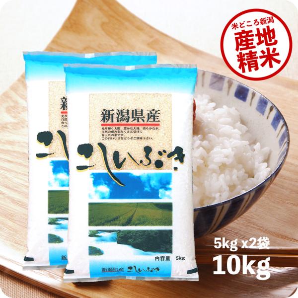 米 10kg 新潟産こしいぶき お米 10キロ 送料無料 令和5年産 白米 精米