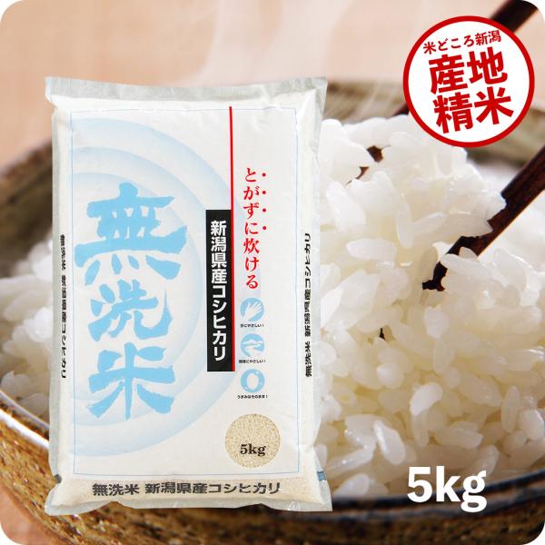 令和4年産 新米 10kg 新潟コシヒカリ （無洗米） お米 10キロ 送料無料