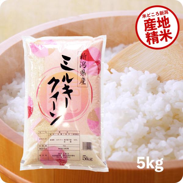 ミルキークイーン 米 5kg お米 令和6年産 新潟県産 精米 白米 ミルキークイーン 米 5kg お米 令和6年産 新潟県産 精米 白米