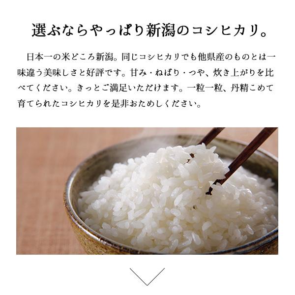米 10kg コシヒカリ 新潟県産 お米 送料無料 いつでも送料無料 5kg 2袋 産直 白米 精米 令和２年産