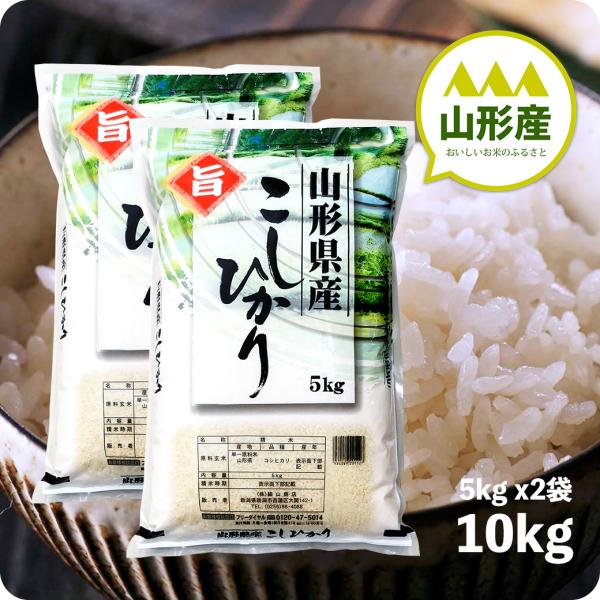 最新人気 コシヒカリ 白米 20キロ 精米 箱なし 京都府産 令和4年産