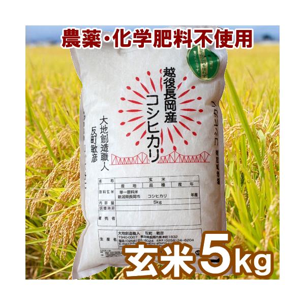 無農薬・化学肥料不使用　玄米 5kg　大地創造職人