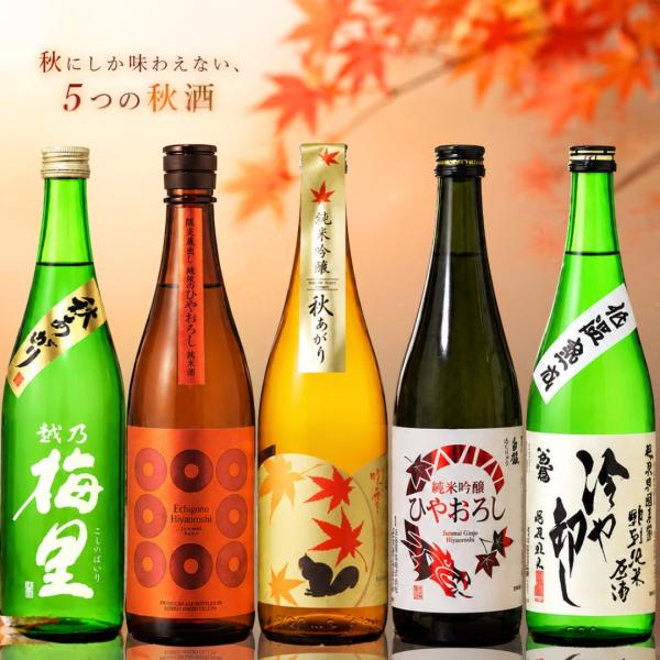 秋限定 日本酒 秋酒 ひやおろし 飲み比べセット 720ml 5本 越路吹雪 越乃八豊 白龍 越乃梅里 お福正宗