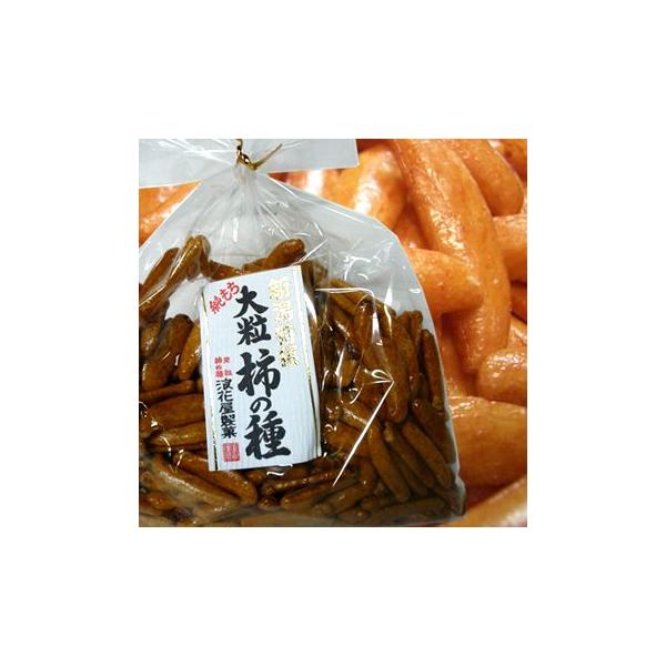 ܂Ƃߔ 嗱 `̎ В120g×10 Qԉ