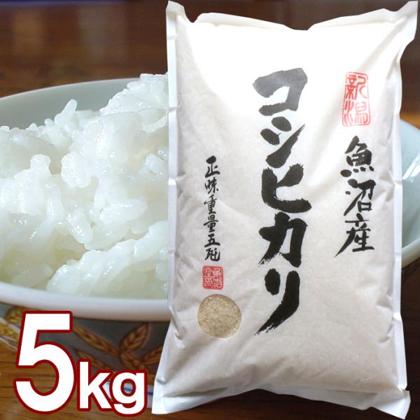 魚沼産 コシヒカリ 5kg  令和7年 米 こしひかり 新潟 早川米穀店
