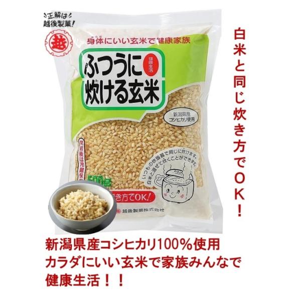 z㐻ف@ӂɐ錺ā@500g