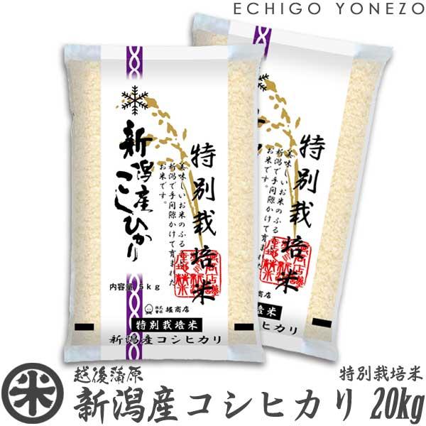 コシヒカリ 新潟米 令和6年産 新潟産コシヒカリ 特別栽培米 20kg コシヒカリ 新潟米 令和6年産 新潟産コシヒカリ 特別栽培米 20kg