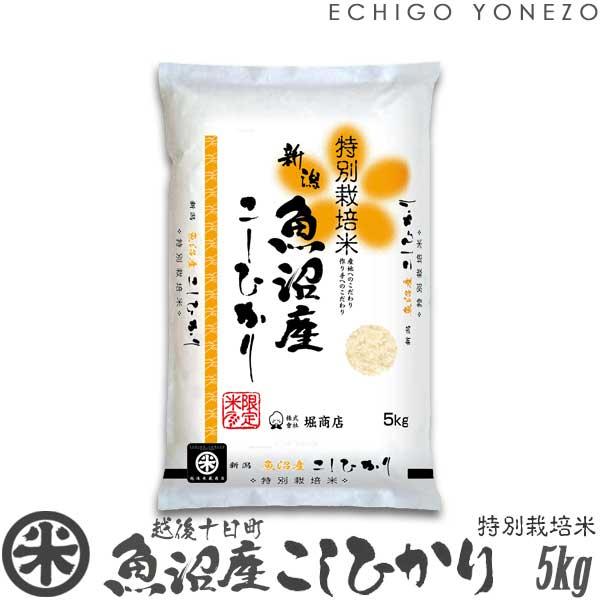 新潟米 令和7年産 魚沼 十日町産コシヒカリ 特別栽培米 白米 5kg (5kg×1袋) 契約栽培 こしひかり 送料無料 ギフト対応