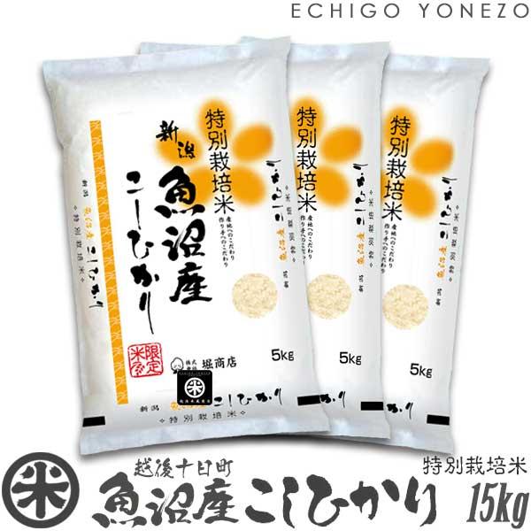 新潟米 令和7年産 魚沼 十日町産コシヒカリ 特別栽培米 白米 15kg (5kg×3袋) 契約栽培 こしひかり 送料無料 ギフト対応