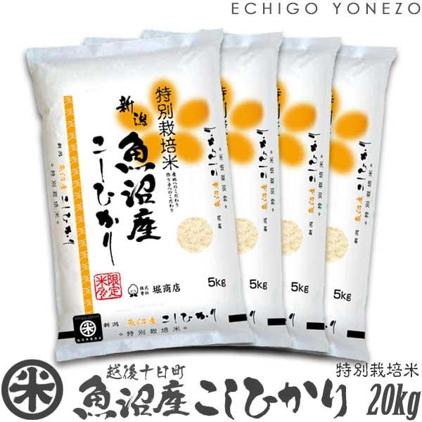 新潟米 令和7年産 魚沼 十日町産コシヒカリ 特別栽培米 白米 20kg (5kg×4袋) 契約栽培 こしひかり 送料無料 ギフト対応