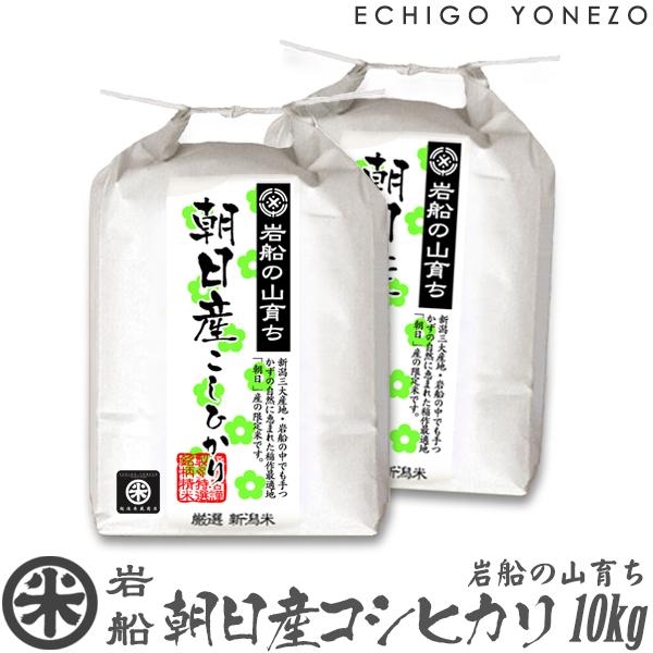 新潟米 令和7年産 岩船の山育ち 朝日産コシヒカリ 特選限定米 10kg (5kg×2袋) 新潟米 こしひかり お米 白米 送料無料 ギフト対応