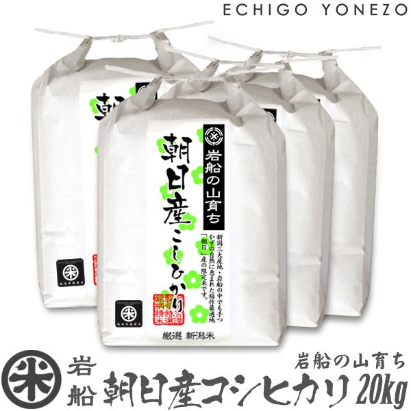 新潟米 令和7年産 岩船の山育ち 朝日産コシヒカリ 特選限定米 20kg (5kg×4袋) 新潟米 こしひかり お米 白米 送料無料 ギフト対応