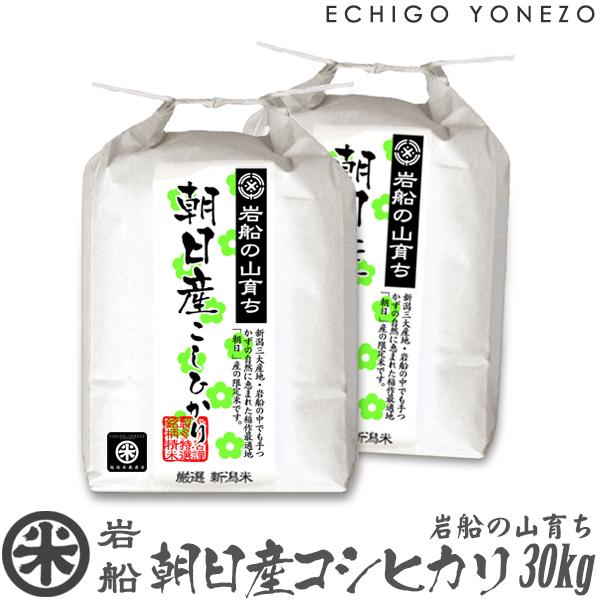 コシヒカリ 新潟米 令和6年産 岩船の山育ち 朝日産コシヒカリ コシヒカリ 新潟米 令和6年産 岩船の山育ち 朝日産コシヒカリ