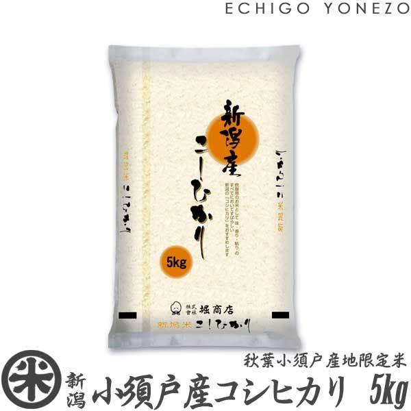 新潟県産こしひかり コシヒカリ 5kg　4袋 新潟県産 コシヒカリ 5kg 【精白米】 令和6年産 米 お米