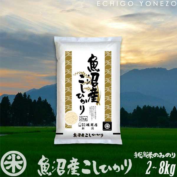 新米 令和7年産 魚沼産コシヒカリ 新潟米の実りシリーズ 白米 2kg 4kg 6kg 8kg 国内最高峰 魚沼 こしひかり ギフト対応