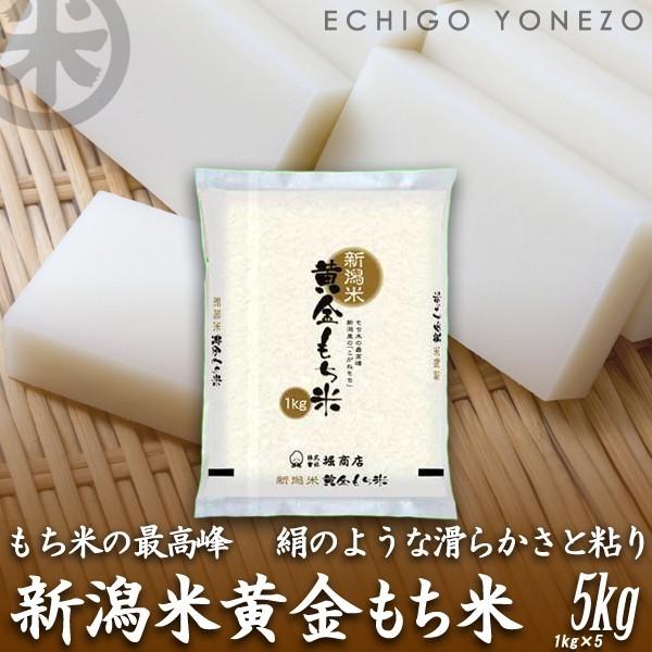 新潟米 令和5年産 新潟産黄金もち米 5kg (1kg×5袋) 黄金餅米 100％ 新潟県 新潟米 もち米 餅米 お米 おもち 堀商店 送料無料