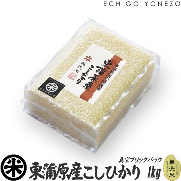 新潟米 令和７年産 無洗米 東蒲原産コシヒカリ チャック付真空パック 10kg (1kg×10パック) 白米 彩流シリーズ お米 新潟米 新潟産 上川産 こしひかり 送料無料