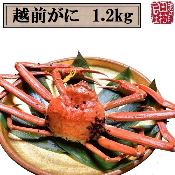 y①ց@ɏiȊO͓sz䌧Y ŉzO 1.2kg`1.29kg@zOc(ɐ|1EJjXv[1{t)