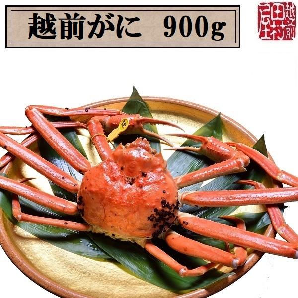 y①ց@ɏiȊO͓sz䌧Y ŉzO 900g`999g@zOc(ɐ|1EJjXv[1{t)