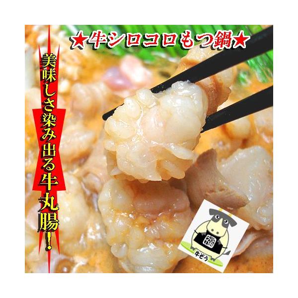 [Release date: August 20, 2009]【送料無料】丸腸ホルモン鍋（みそ味）4〜5人前用人気の丸腸ホルモンをボリュームたっぷり500ｇ。それに、創業40有余年の伝統味、ホルモン専用味噌だれをベースに作った、”自家製もつ...