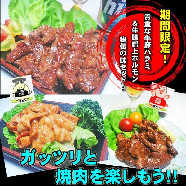 ６月限定 貴重な柔らか牛豚ハラミ 秘伝の牛味噌上ホルモンセット 送料無料 焼肉 BBQ バーベキュー