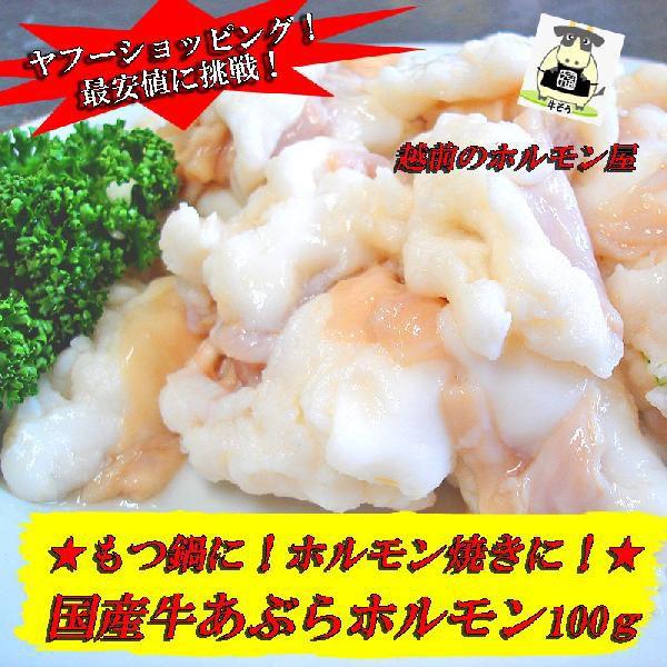 ぷるるん国産牛あぶらホルモン【味付けなし】　100g　焼肉にもモツ　もつ鍋にもどうぞ　B級グルメ