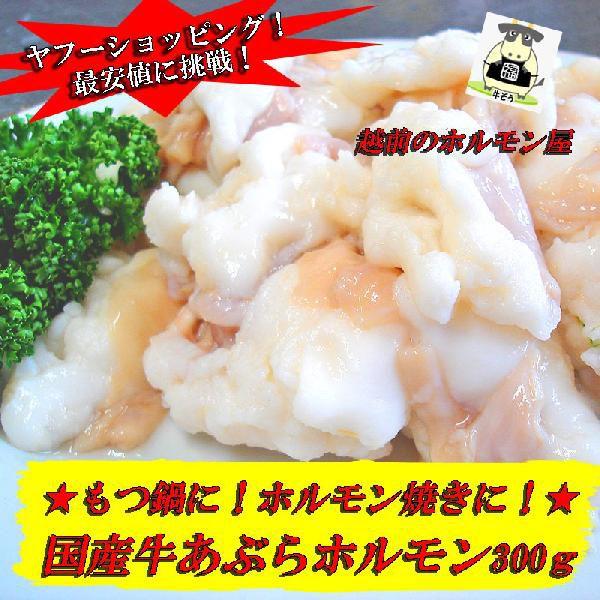 ぷるるん！国産牛あぶらホルモン　【味付けなし】　300g　焼肉にもモツ　もつ　鍋にもどうぞ　B級グルメ