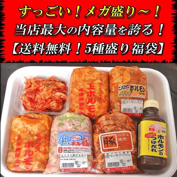 【送料無料】人気ホルモン5種盛り福袋＜セット内容＞こだわりホルモン（みそ味）500ｇ・上ホルモン（みそ味）500ｇ・コリコリ塩ホルモン500ｇ・豚ハラミ焼肉500ｇ・ミックスホルモン（みそ味）500ｇ。越前のホルモン屋おすすめの美味しいホル...