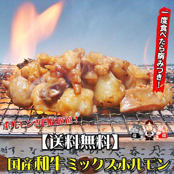 厳選和牛ミックスホルモン250g 送料無料 お歳暮 焼肉 モツ鍋に お中元 焼肉 ホルモン B級グルメ お花見にも