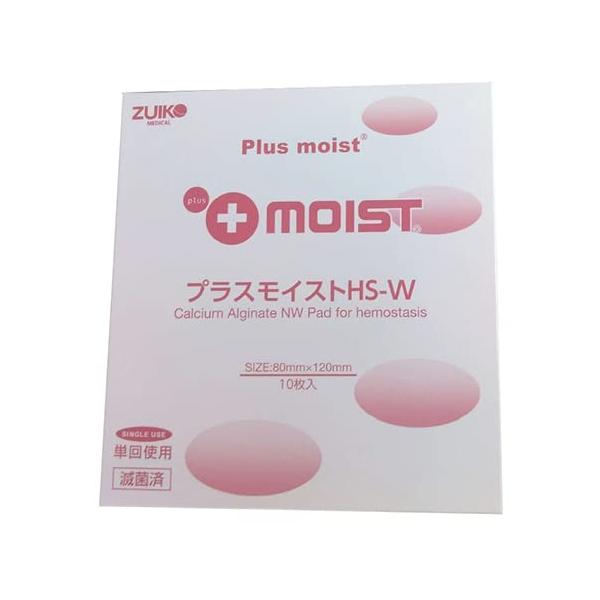 瑞光メディカル プラスモイストHS-W 80×120mm 10枚入 HSWAJA 1箱