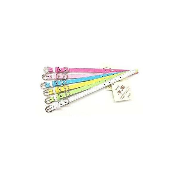 カワノ産業 M1872CHマイスターWレザーカラー#15