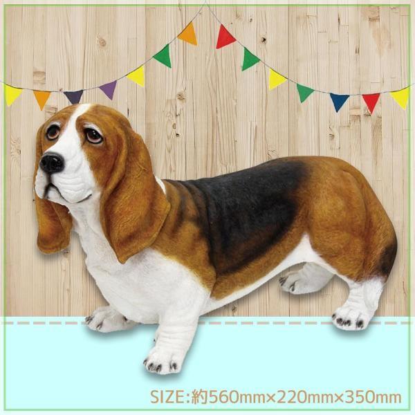 丸和貿易 チアフルフレンズ 保証 バセットハウンドのチャールズ