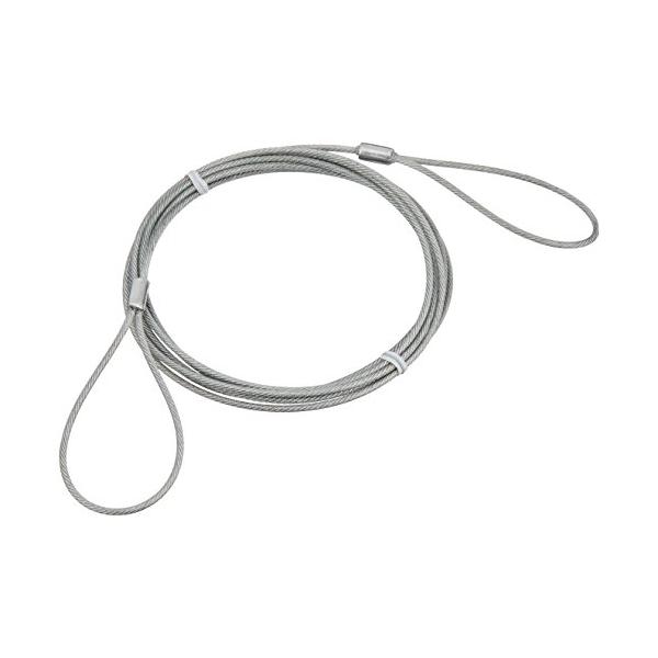 サンワサプライ SLE-3W-3　eセキュリティ(3M1.6mm) メーカー在庫品