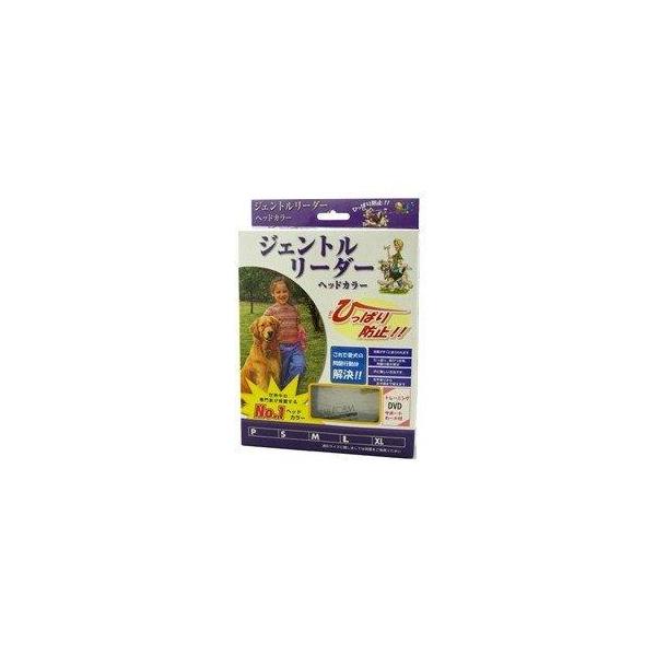 スターフォームエンジニアリング ジェントルリーダーシステム シルバーS