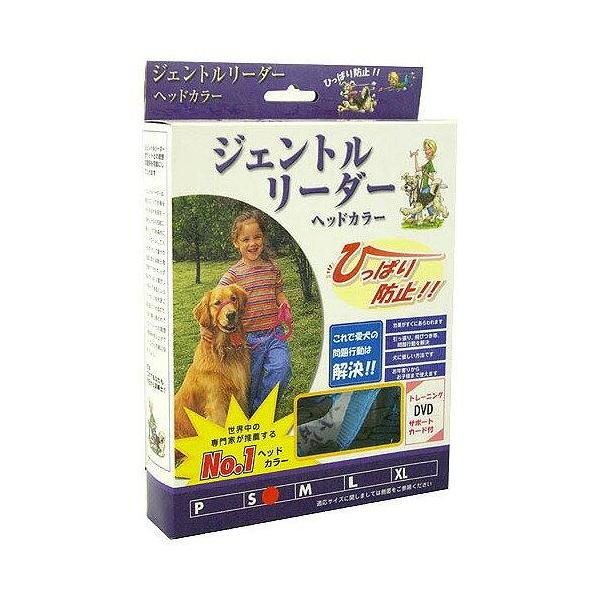 ヘッドカラー システム アイス