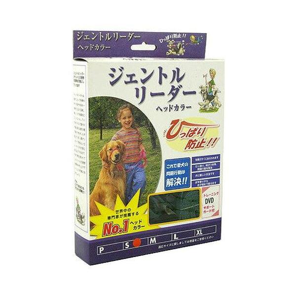 ヘッドカラー システム