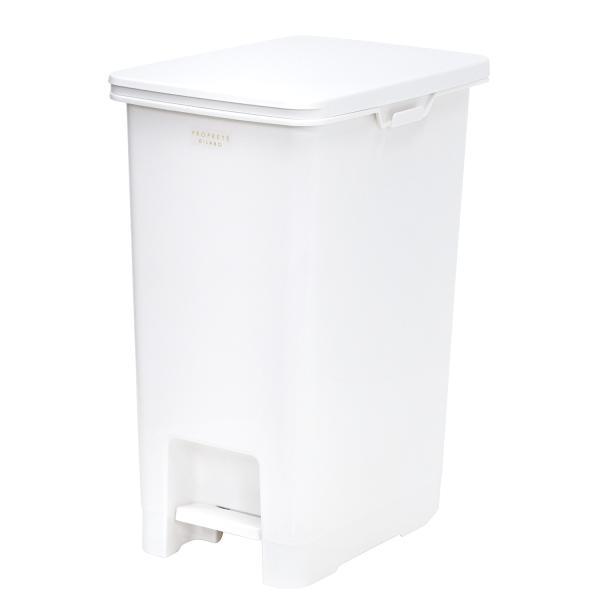 他サイト： 天馬(Tenma) ELP-PP30 プロプルテイーラボペダルペール30L ホワイトの商品画像