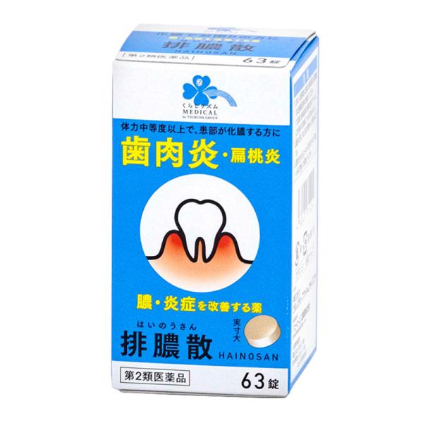【第2類医薬品】 くらしリズムメディカル 排膿散エキス錠J 63錠 ○