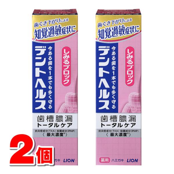 【医薬部外品】 ライオン デントヘルス 薬用ハミガキ しみるブロック 85g　×2個 ★