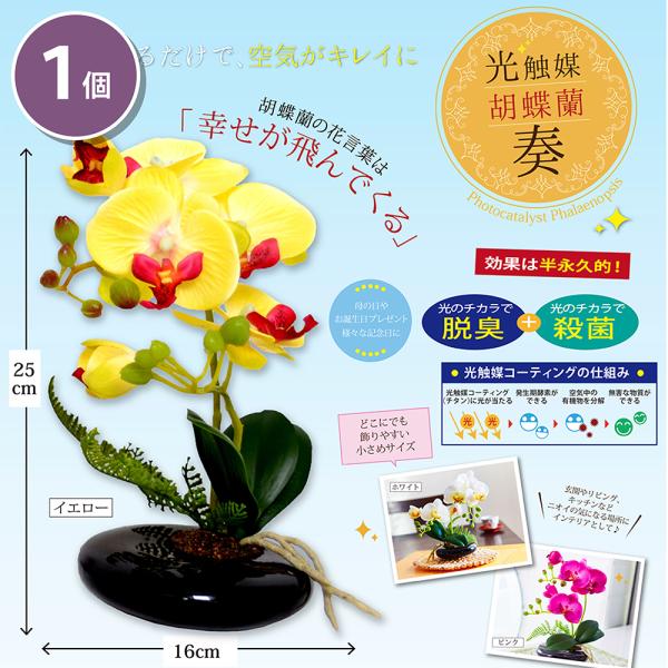 縁起の良い幸運の胡蝶蘭精巧に作った造花に今話題の光触媒溶液を加工しました。脱臭効果だけでなく、インテリアとしても心和む胡蝶蘭！胡蝶蘭の花言葉は『幸せが飛んでくる』玄関やリビング、トイレ等に飾るのにぴったりのお花です小さめのサイズなので気軽に...