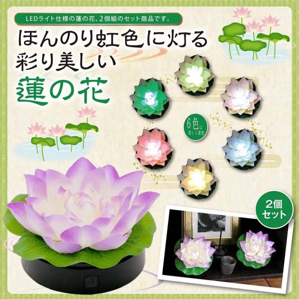 ロータス~蓮花 はすはな~ ゆらぎ 1個 ほんのり虹色 灯 彩り美しい 蓮の花  盆提灯 仏具 ライト インテリア 灯る虹色ライト 優しい明るさ Eclea 爆売 爆買